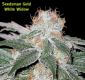 White Widow