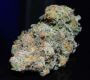 Blue Dream